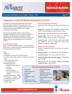 Conducting a Turkey Post Mortem Examination in
