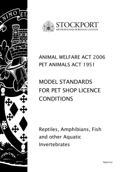 Reptiles - Contentful