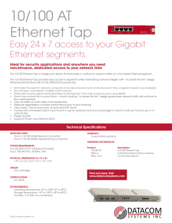 10/100 AT Datasheet