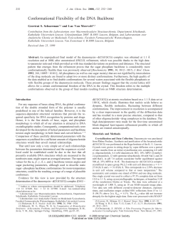 Conformational Flexibility of the DNA Backbone