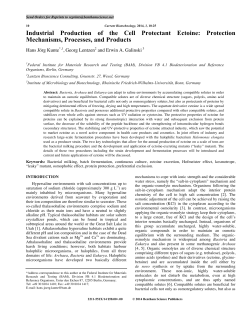 Industrial Production of the Cell Protectant Ectoine: Protection