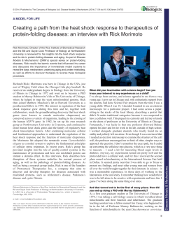 Creating a path from the heat shock response to therapeutics of