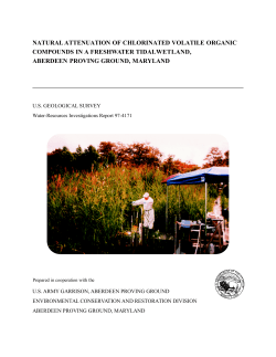 Natural Attenuation of Chlorinated Volatile Organic Compounds in a