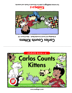 Carlos Counts Kittens