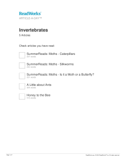 Invertebrates
