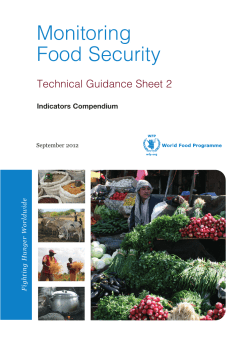 Monitoring Food Security - Technical Guidance Sheet 2