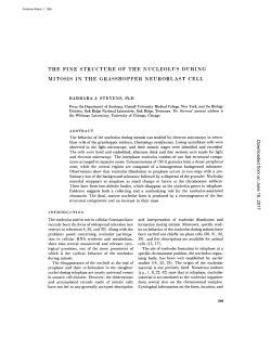 the fine structure of the nucleolus during