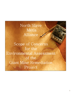 Presentation from NSMA - Mackenzie Valley Review Board