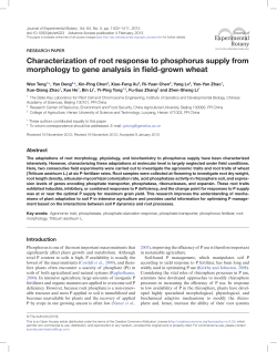 Characterization of root response to phosphorus supply from