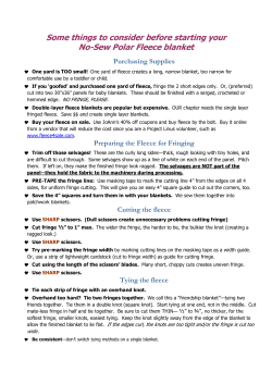 No Sew Polar Fleece Blanket