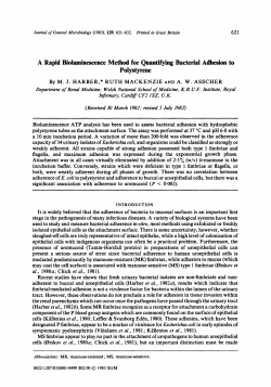 A Rapid Biolumilr---ence Method for Quantifying