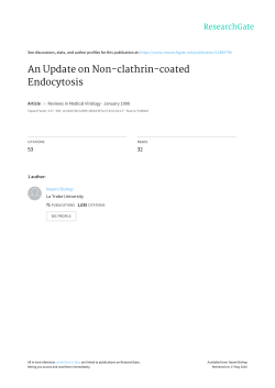 An Update on Non-clathrin-coated Endocytosis