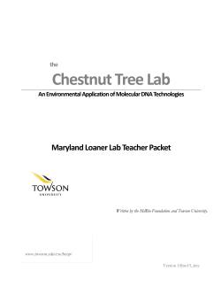 Chestnut Tree Lab - Towson University