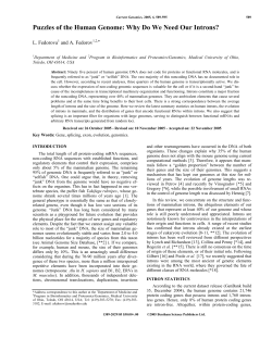 Puzzles of the Human Genome: Why Do We