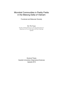 Microbial Communities in Paddy Fields in the Mekong Delta of