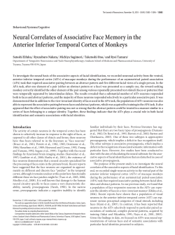 Neural Correlates of Associative Face Memory in the Anterior