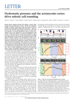 Hydrostatic pressure and the actomyosin cortex drive mitotic cell