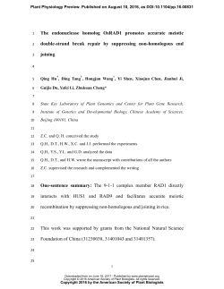 The endonuclease homolog OsRAD1 promotes accurate meiotic