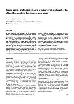Distinct controls of DNA replication and of nuclear division in the cell