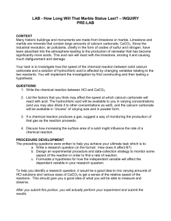 LAB - How Long Will That Marble Statue Last? &ndash; INQUIRY