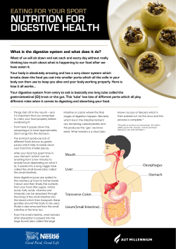 nutrition for digestive health