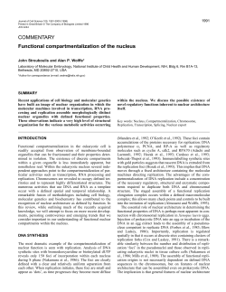 Functional compartmentalization of the nucleus