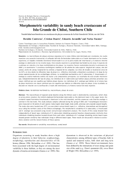 Morphometric variability in sandy beach crustaceans of Isla