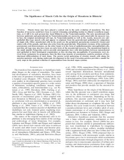 as a PDF