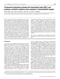 Proteasomal dysfunction activates the transcription factor SKN