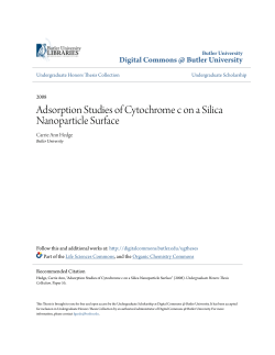 Adsorption Studies of Cytochrome c on a Silica Nanoparticle Surface