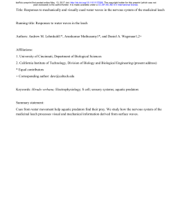 Title: Responses to mechanically and visually cued water waves in