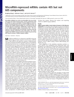 MicroRNA-repressed mRNAs contain 40S but not 60S components