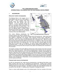 THE LOWER MEKONG RIVER: INTERNATIONAL