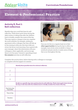 Activity E: Self-reflection and reflecting as a team