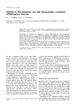 Meiosis in Haematopinus suis and Menacanthus stramineus