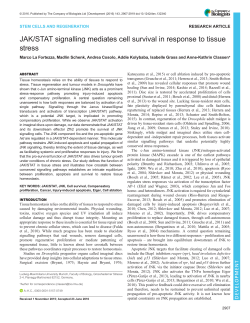 JAK/STAT signalling mediates cell survival in response to tissue stress
