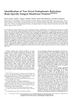 Identiication of Two Novel Endoplasmic Reticulum Body