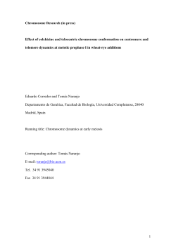 Chromosome Research (in press) Effect of - E