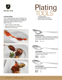 SOLID BOWLS PLATING SPOONS SLOTTED BOWLS SAUCIER