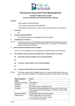 Development Assessment Panel Meeting Minutes
