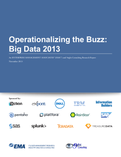 Operationalizing the Buzz: Big Data 2013