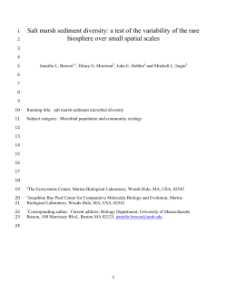 Salt marsh sediment diversity: a test of the variability of the rare