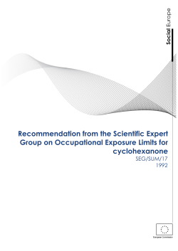 sum 17 new template WEB ready