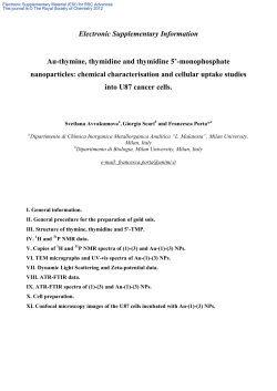 Electronic Supplementary Information Au