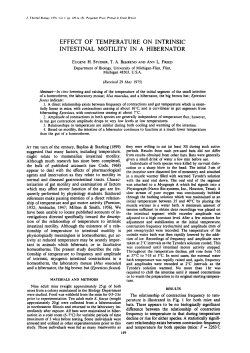 effect of temperature on intrinsic intestinal motility in a