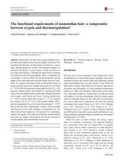 The functional requirements of mammalian hair: a