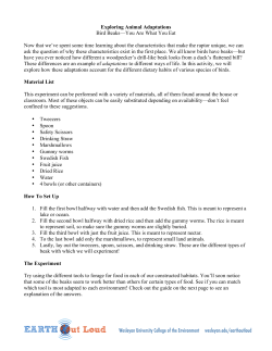 Bird Beak Activity - Wesleyan University