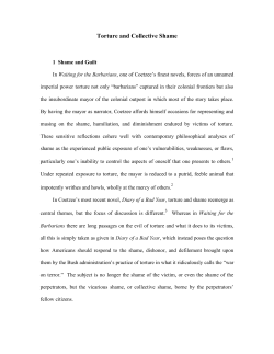 Torture and Collective Shame