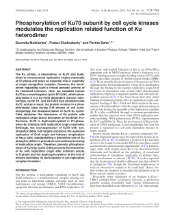Phosphorylation of Ku70 subunit by cell cycle kinases modulates the