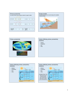 Primary productivity - Seattle Central College